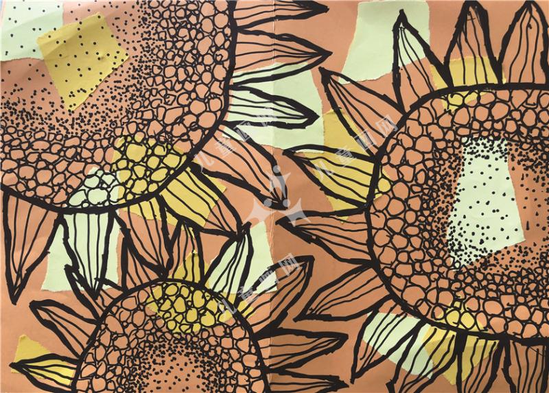 追逐阳光 绽放梦想